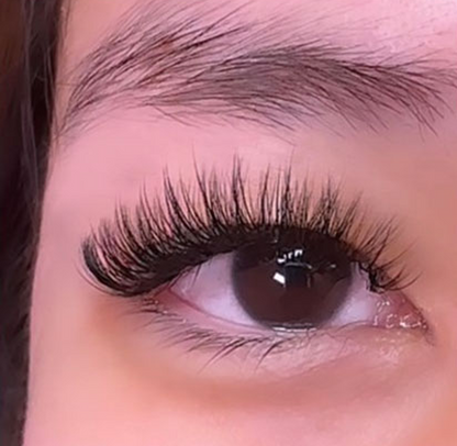 Lash Extensions - New Set